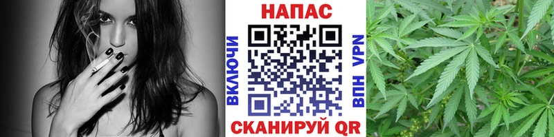 Бошки Шишки Учалы