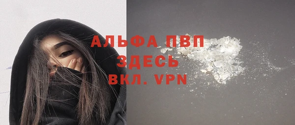 прущие грибы Аркадак