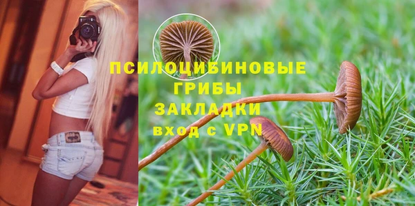 2c-b Балабаново