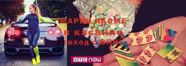 прущие грибы Аркадак