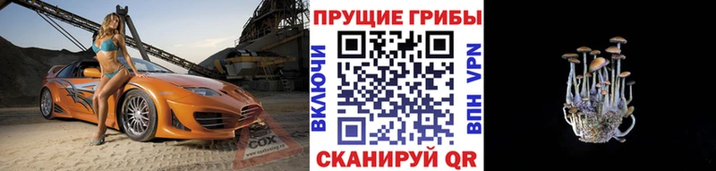 мега как войти  закладки  Учалы  Галлюциногенные грибы ЛСД 